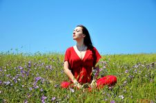 Summer Resting Royalty Free Stock Photography Summer Resting Royalty Free Stock Photography