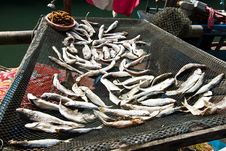 Fish Will Be Dried In A Small Fishermans Village Stock Image Fish Will Be Dried In A Small Fishermans Village Stock Image