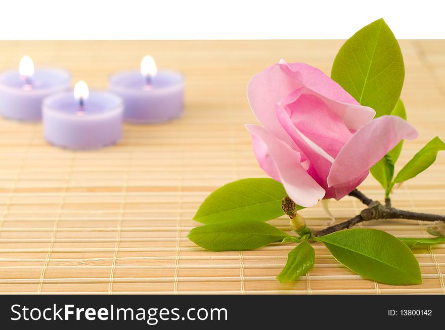 Spa composition with magnolia flower and candles. Spa composition with magnolia flower and candles