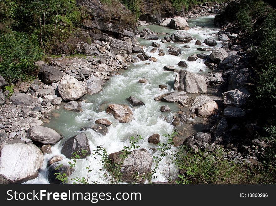 Forest Stream In Nepal