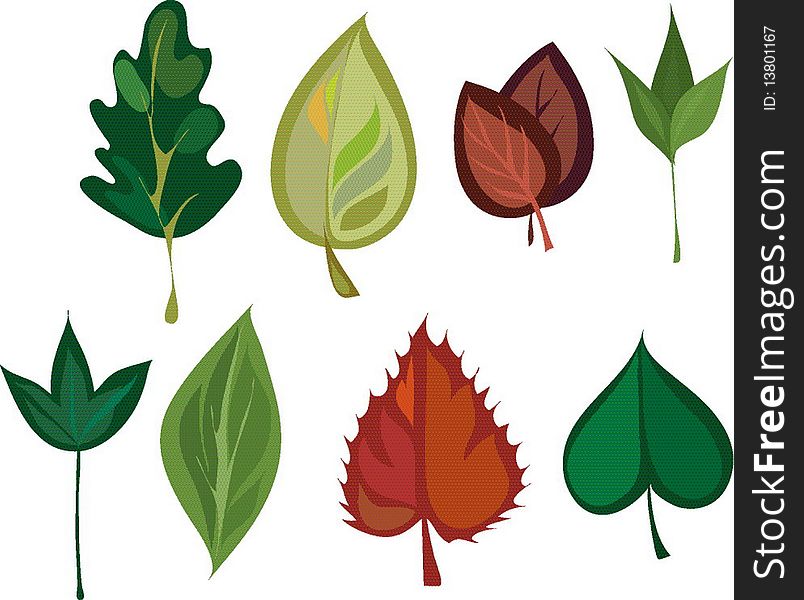 image of different leaves of different trees