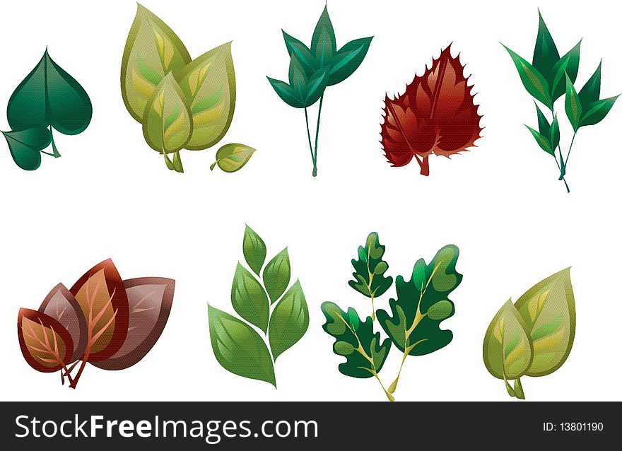 Image of different leaves of different trees