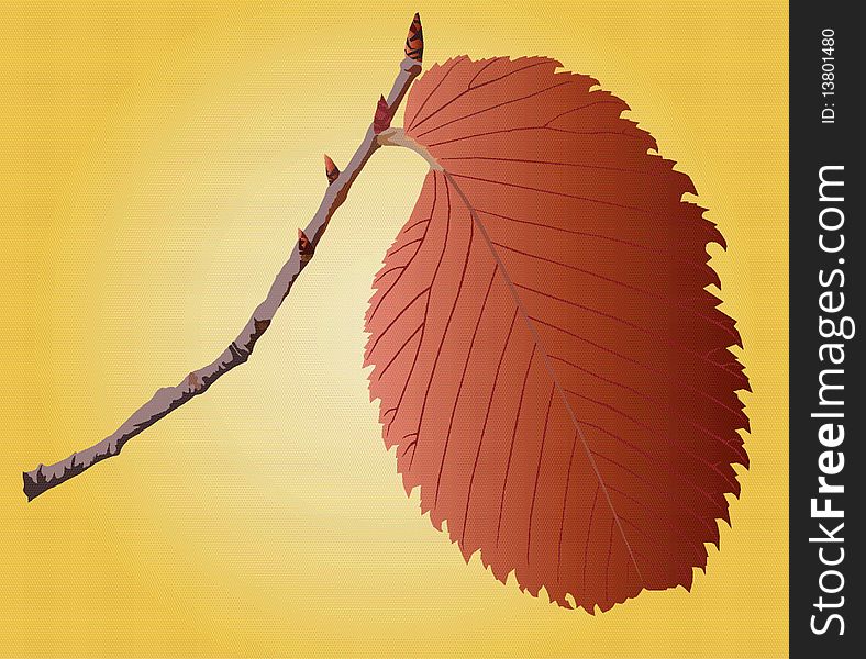 Image of orange leaf on a sprig. Image of orange leaf on a sprig