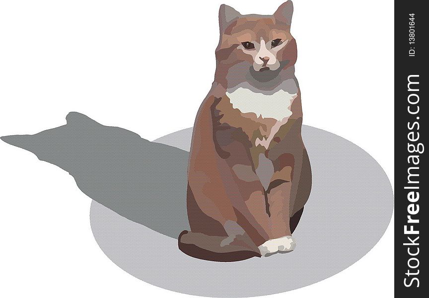 Image of red cat with brown eyes