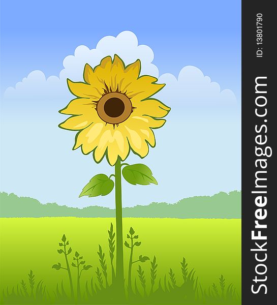 Summer sunny landscape with yellow sunflower and grass