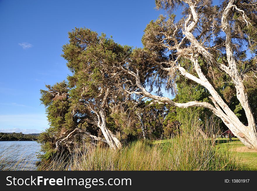 Australia - landscape in Flinders Bay