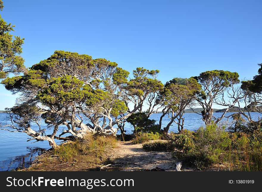 Australia - landscape in Flinders Bay