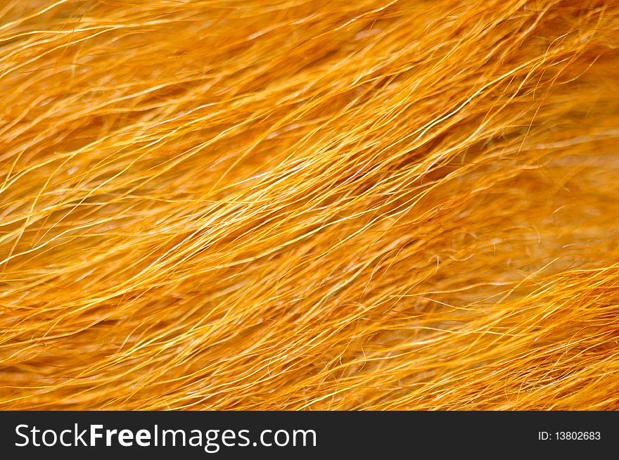 A close up shot of a long haired sheepskin, suitable for overlay or backgrounds. A close up shot of a long haired sheepskin, suitable for overlay or backgrounds.