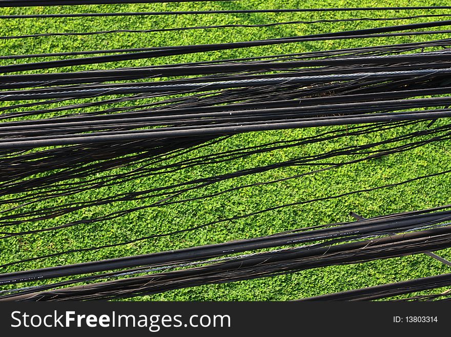 Black powerful Cable on the gentle green grass. Black powerful Cable on the gentle green grass