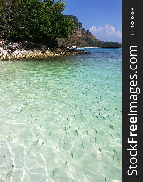 The blue sky and transparent sea with cute fish. The blue sky and transparent sea with cute fish