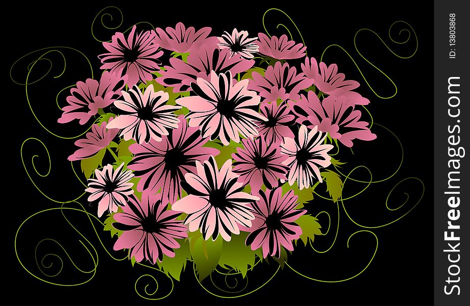 Abstract pink asters with dark background