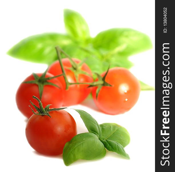 Tomatoes and basil on white background