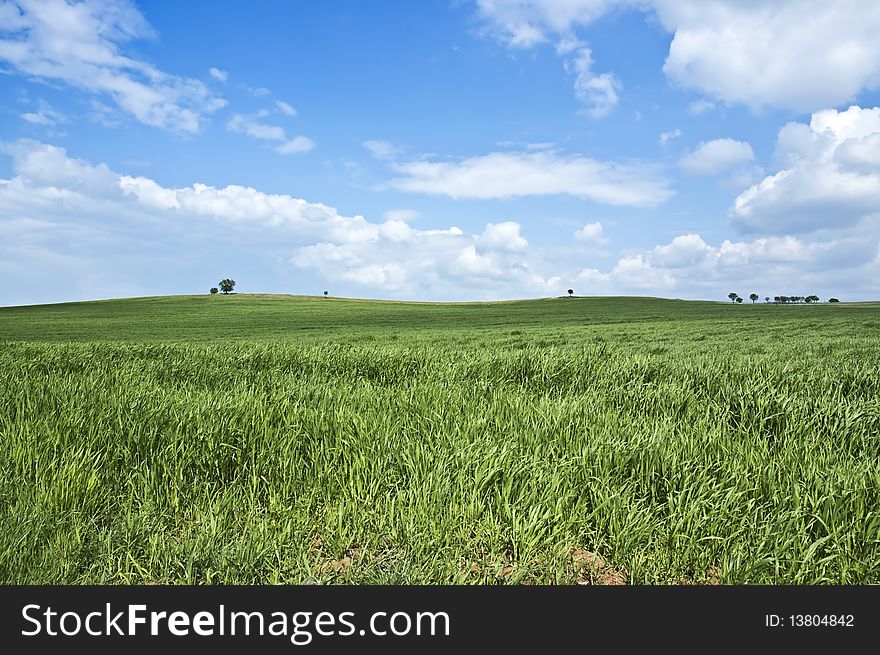 Photo of Green Wheat Field and beautiful landscape.