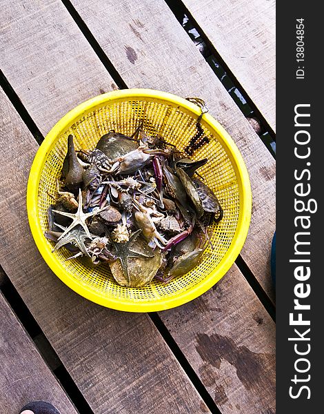 Crabs, fish, seastar, marine life in a yellow basket collected from afishermans net