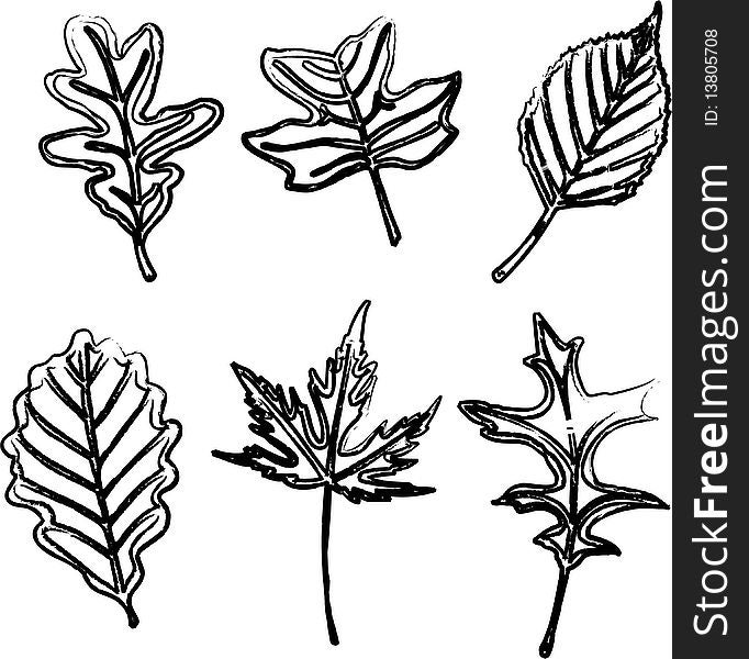 Leafs illustration on white background