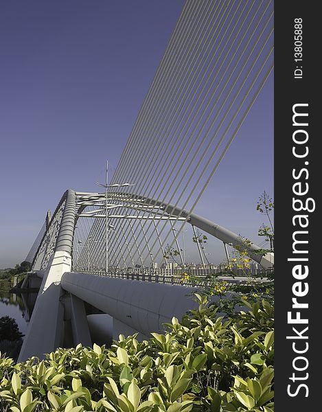 Scenic view of suspension cable support bridge. Scenic view of suspension cable support bridge