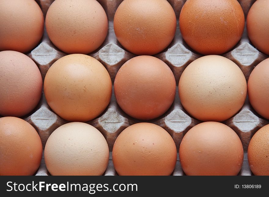 Eggs in a protective container. Eggs in a protective container