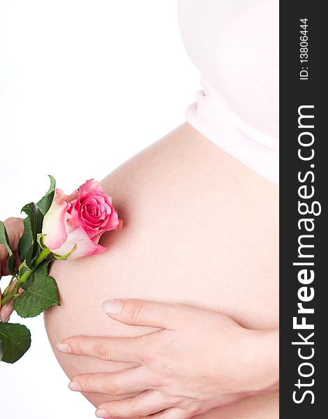 Pregnant girl with rose in the hand on white background