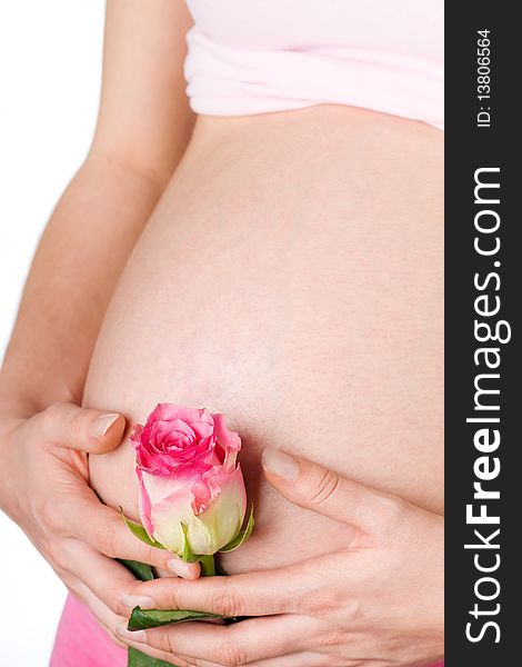 Pregnant girl with rose in the hand on white background