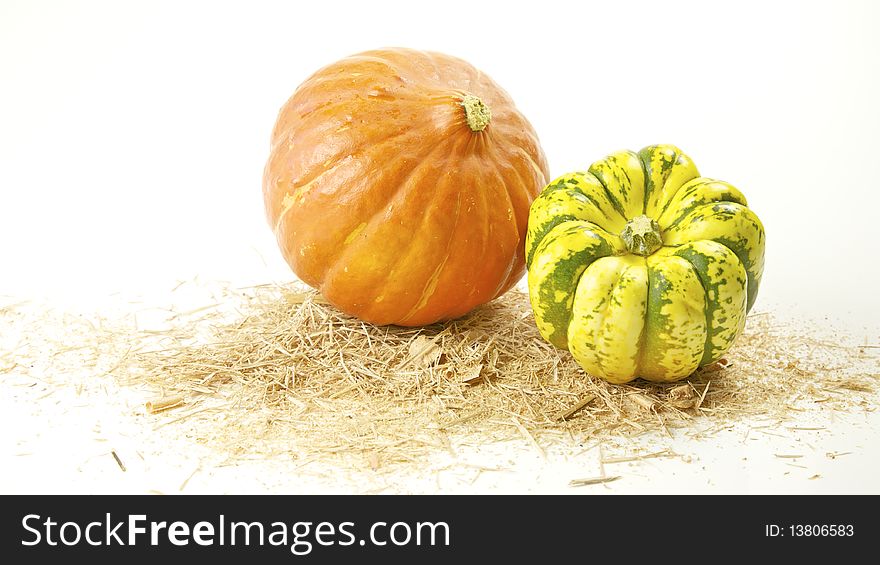 Two pumpkins on sawdust - on a white background. Two pumpkins on sawdust - on a white background