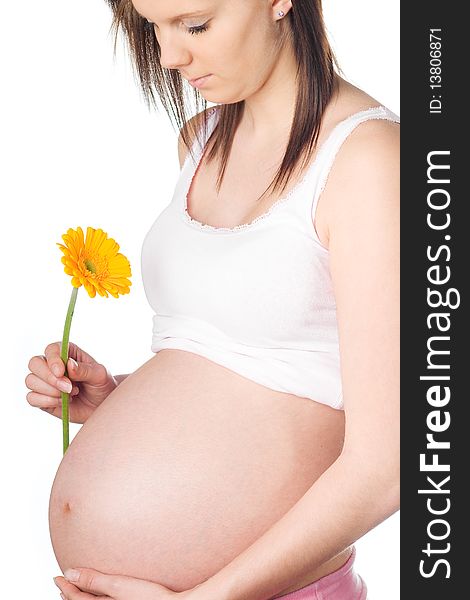 Pregnant girl looking at orange gerbera flower in the hand. Pregnant girl looking at orange gerbera flower in the hand