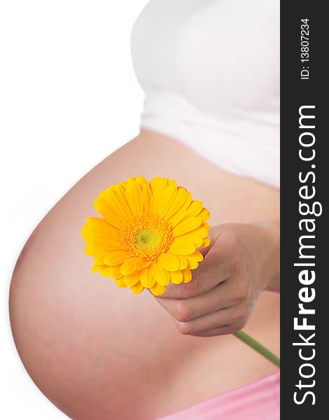 Pregnant girl with orange gerbera flower on her belly. Pregnant girl with orange gerbera flower on her belly