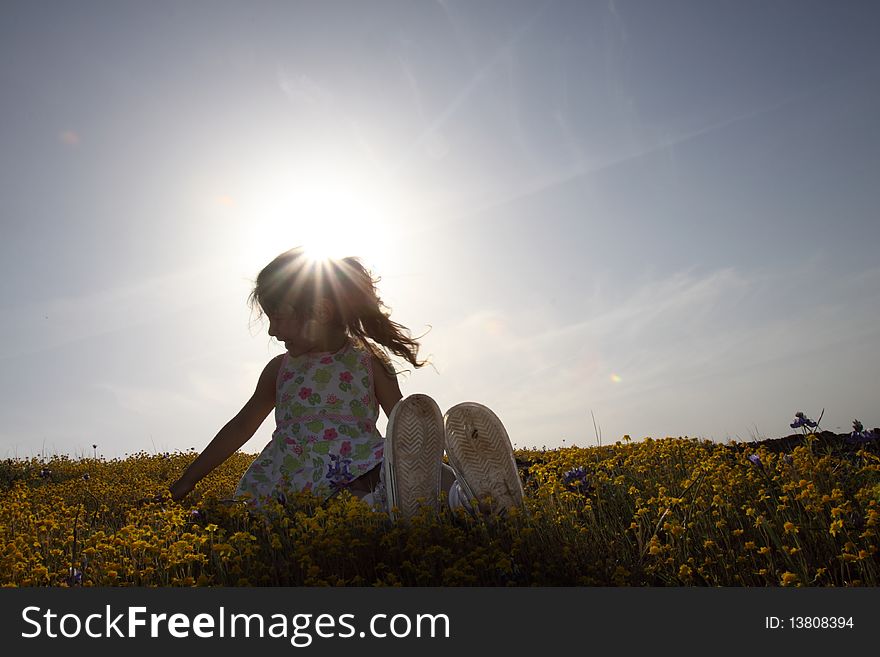 Little girl sitting in a field of yellow flowers with the sun behind her. Little girl sitting in a field of yellow flowers with the sun behind her