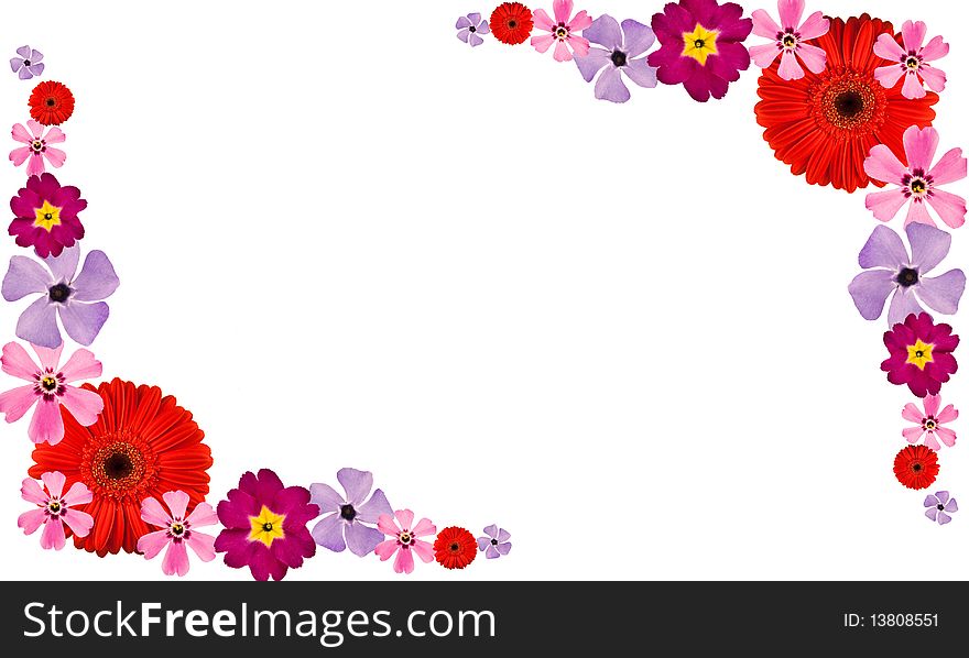 Frame made from flowers isolated on white. Frame made from flowers isolated on white