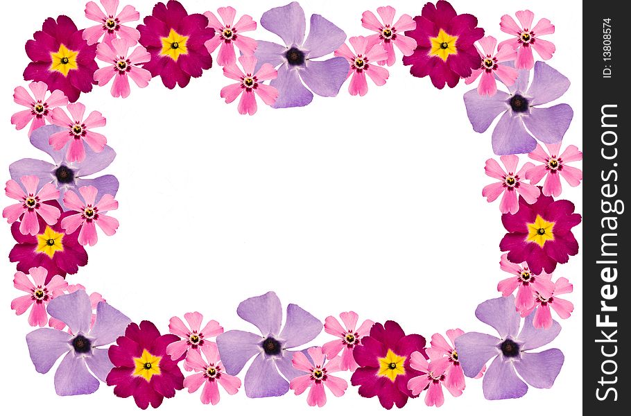 A frame made from flowers isolated on white. A frame made from flowers isolated on white