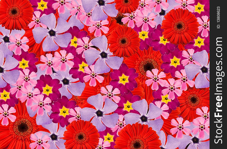 Texture made from pink,blue,red and purple flowers. Texture made from pink,blue,red and purple flowers
