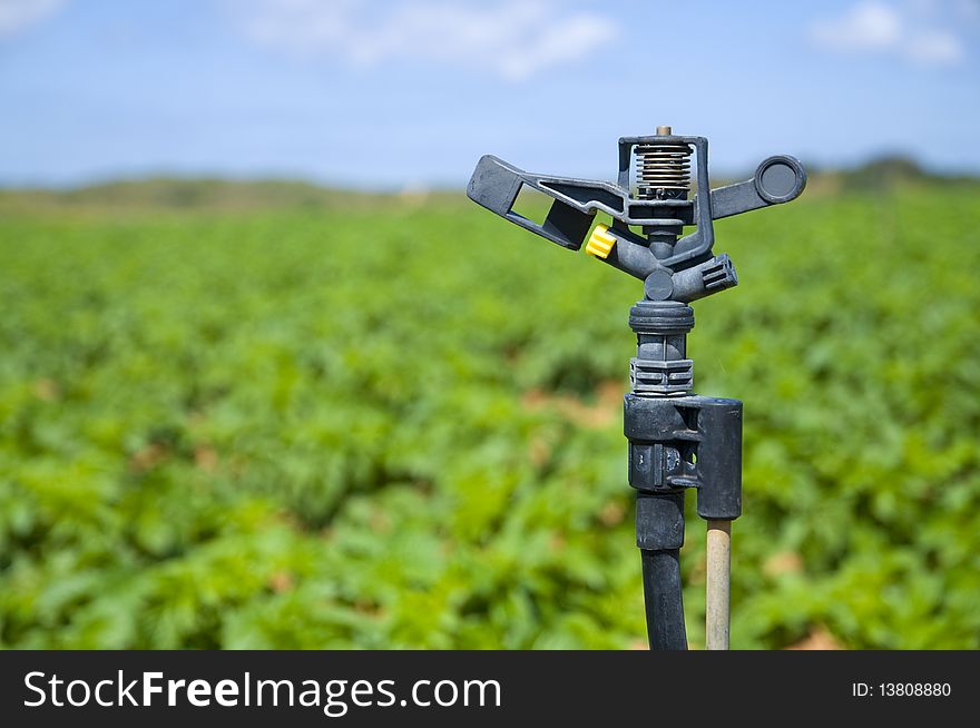 Sprinkler close up in a potato field