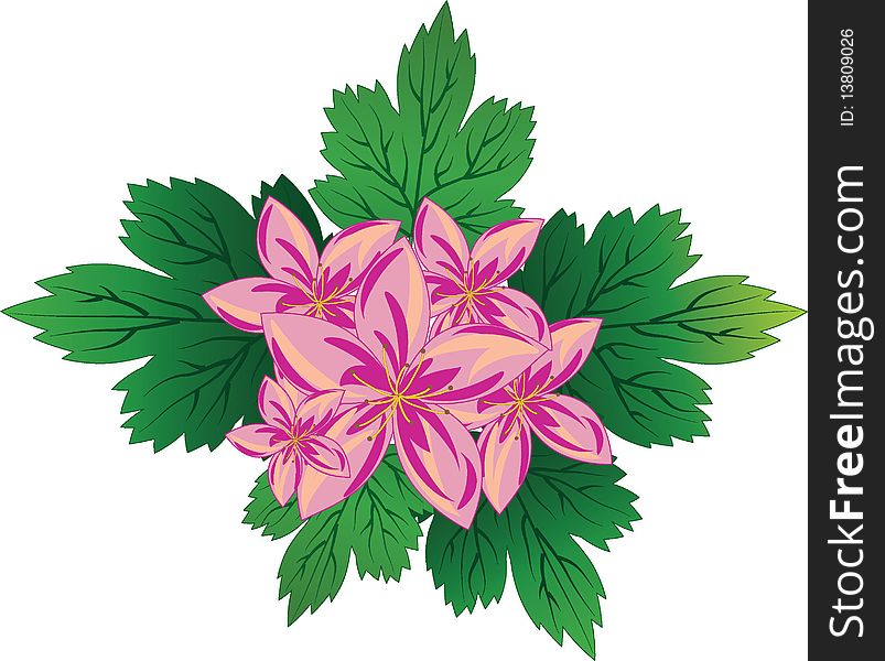 The illustration contains the image of pink flowers