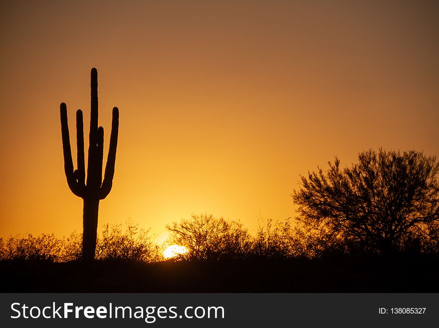 A Warm Desert Sunset Under A Cloudless Sky