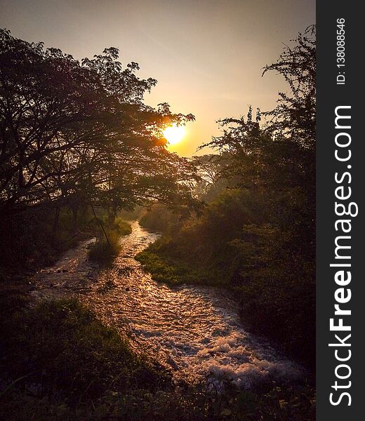 Early morning sun shines on the stream. Early morning sun shines on the stream