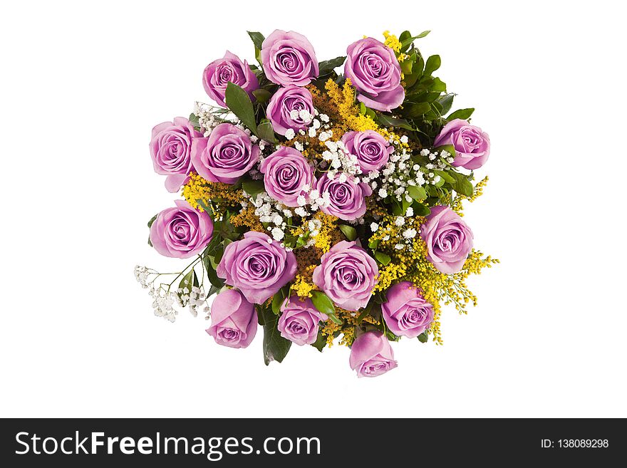 rose bouquet isolated on white background