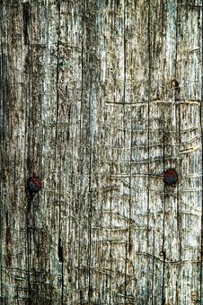 Old Gray cracked wood texture background №2836 Ready to Hang