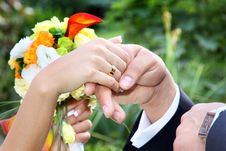 Newlywed Couple Holding Hands. Royalty Free Stock Photography