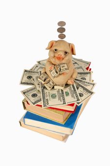 Piggy Bank With Flying Money Royalty Free Stock Photos