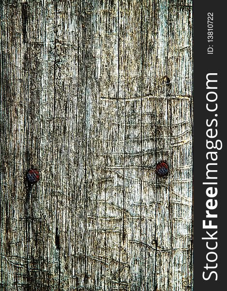 Abstract texture an old dry cracked wood. Good natural background