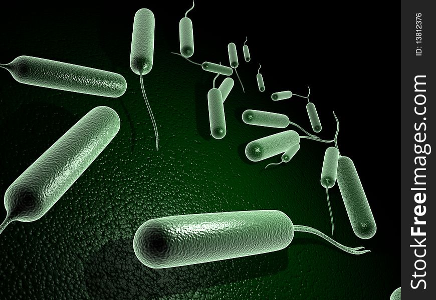 Digital illustration of coli bacteria in 3d on digital background