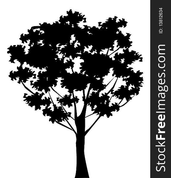 Drawing of black tree in a white background