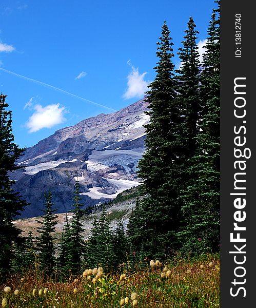 View from the Paradise hike trail on Mount Rainier