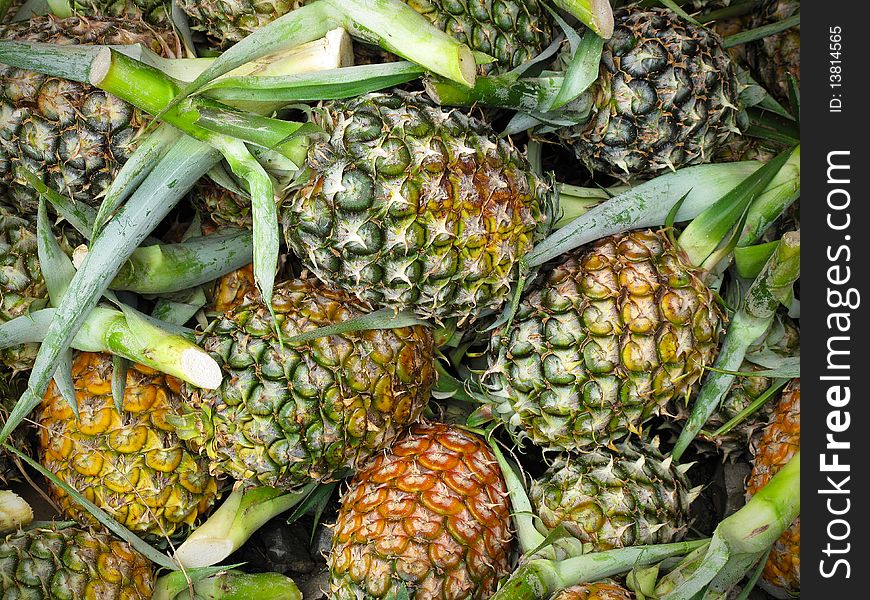 Frsh pineapples, freshly cut from the plant at a market in Borneo. Frsh pineapples, freshly cut from the plant at a market in Borneo.