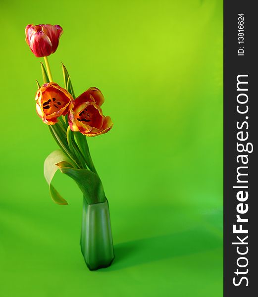 Bouquet of tulips.on green background (macro).