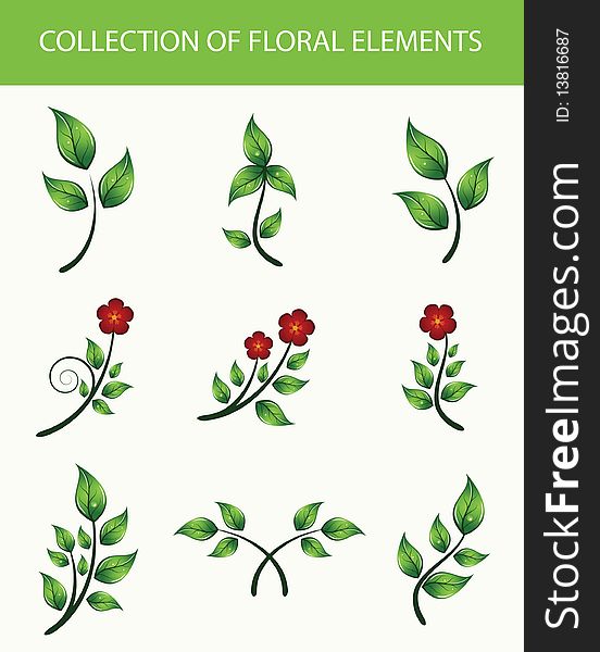 Collection of floral elements