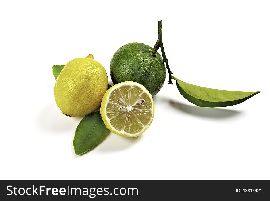 Lemons and limes displayed on a white background