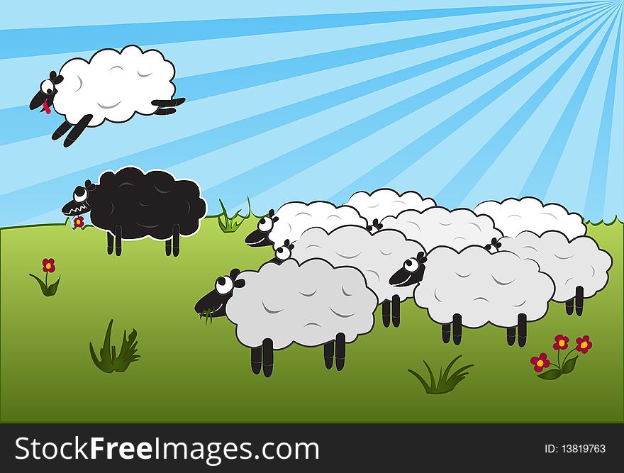 White sheep jumping over a black sheep. White sheep jumping over a black sheep