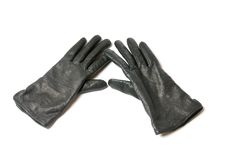 Black Leather Gloves Stock Photos Black Leather Gloves Stock Photos
