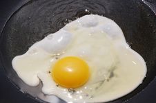Frying Egg Stock Photo Frying Egg Stock Photo