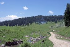 A Path Going Into A Forest In Kashmir. Royalty Free Stock Images A Path Going Into A Forest In Kashmir. Royalty Free Stock Images